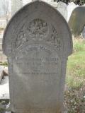 image of grave number 295593